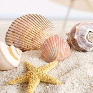 Meet your Posher, Nicki